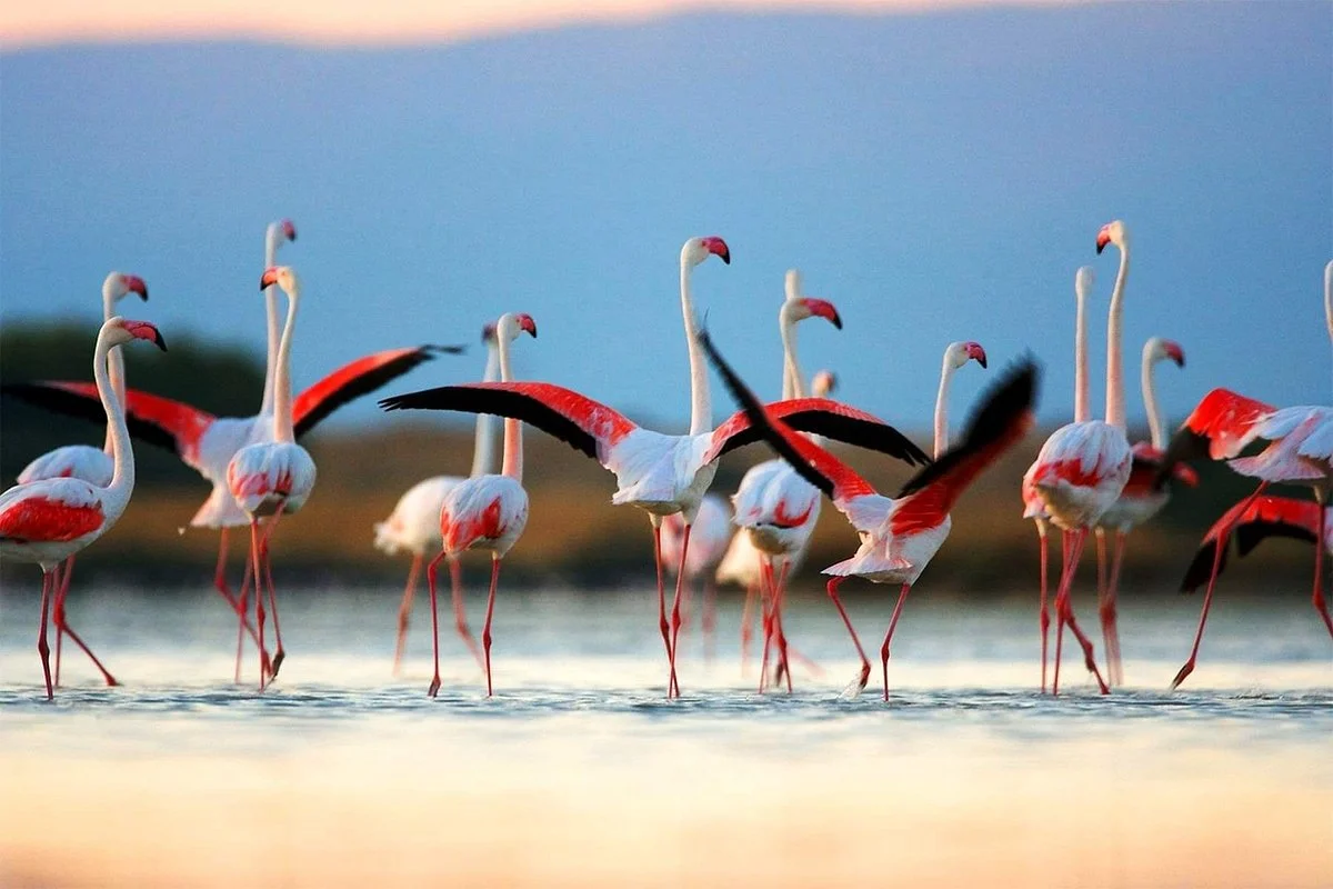 Chundikulam National Park