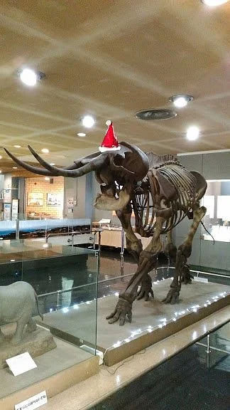 Yokosuka City Museum of Nature and Human Culture
