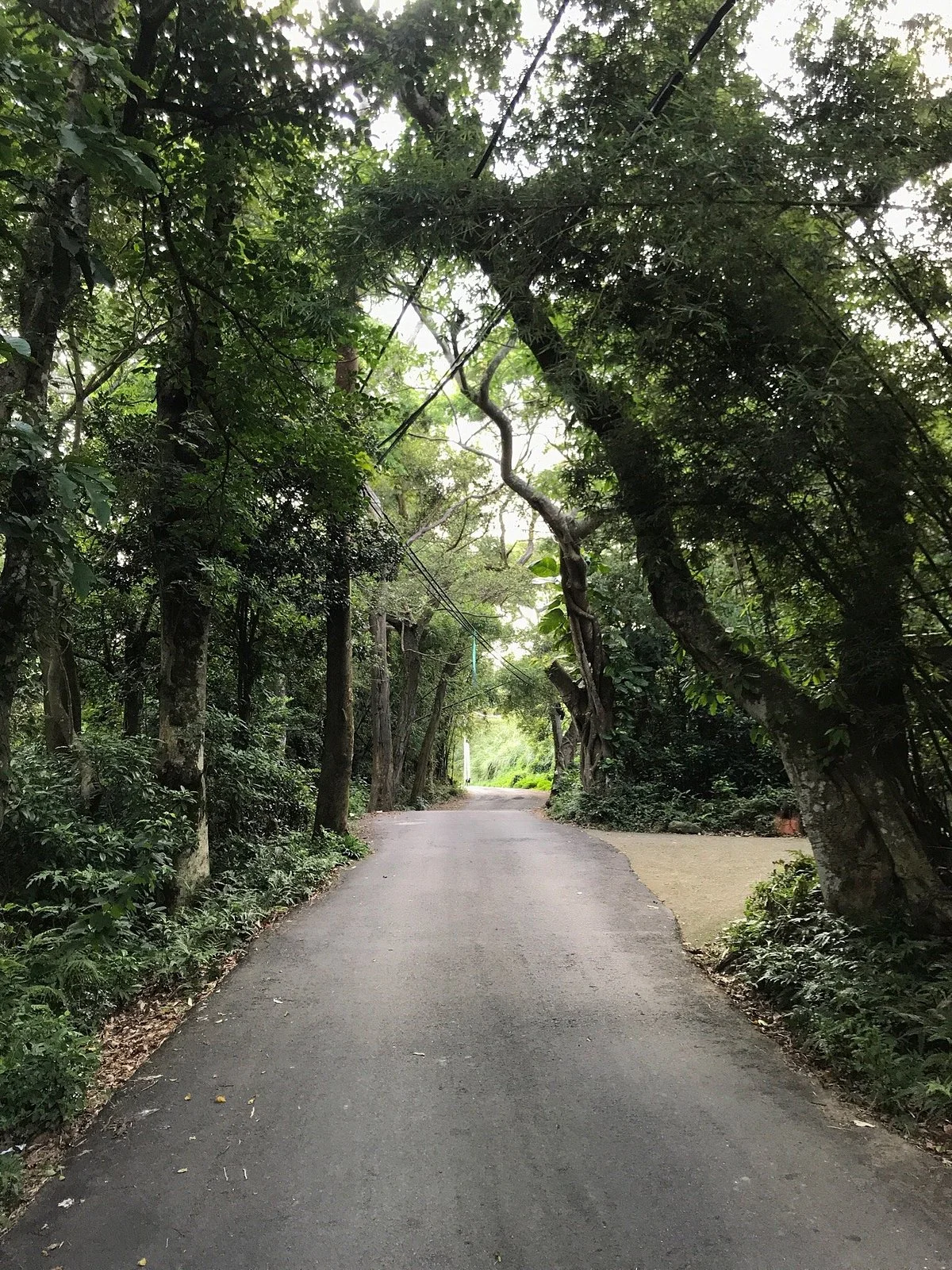 Wu Yue Syue Trail