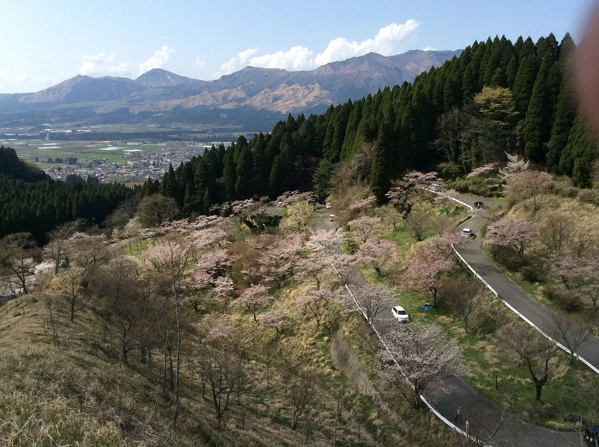 Takamoritoge no Senbonsakura