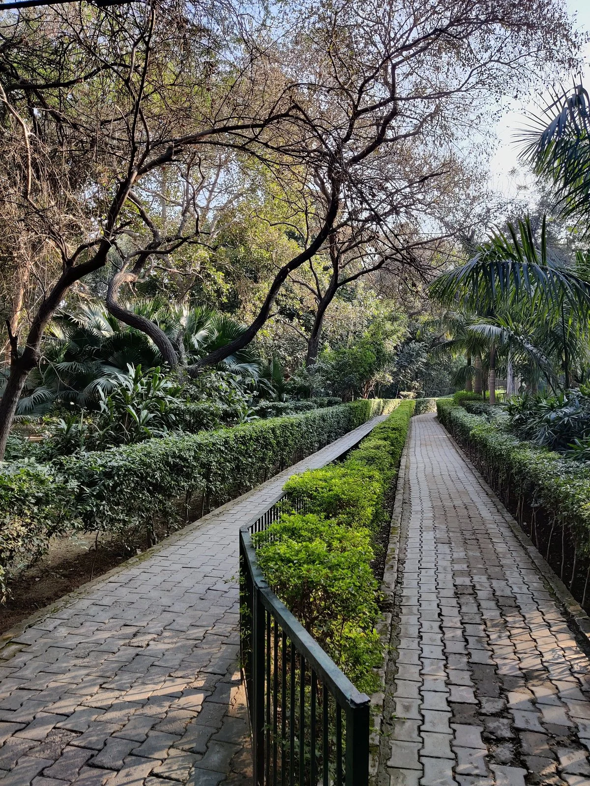 Jahanpanah City Forest