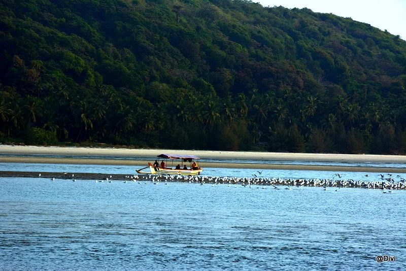 Karli Backwaters