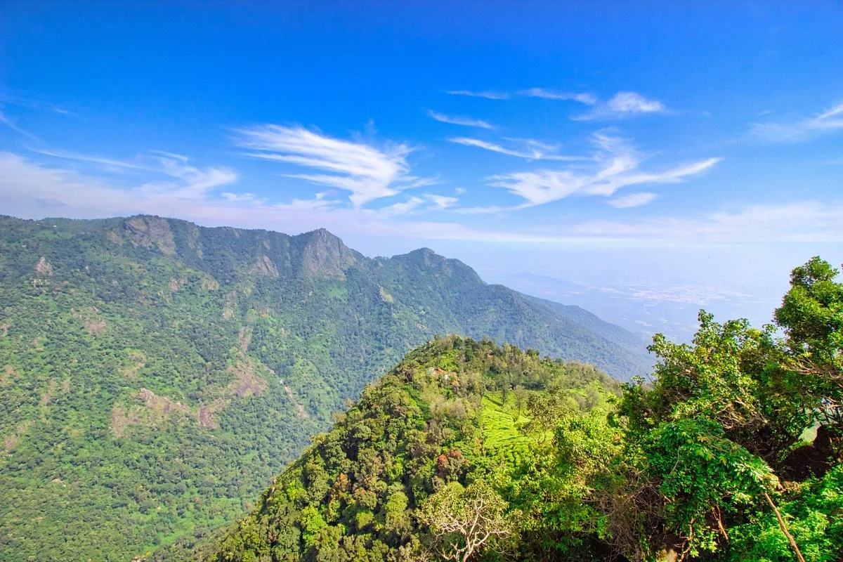 Dolphin's Nose