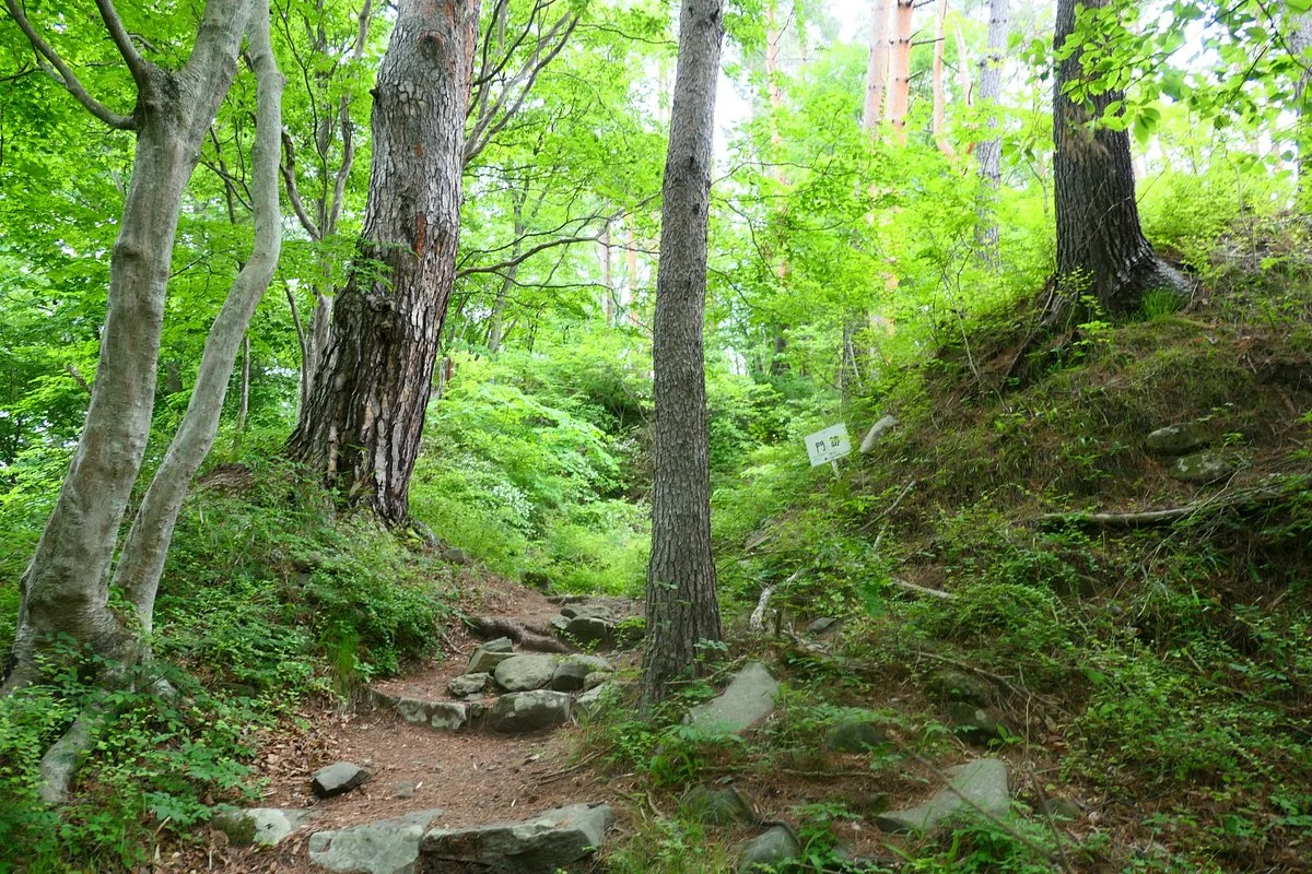 Yogaiyama Castle Ruins