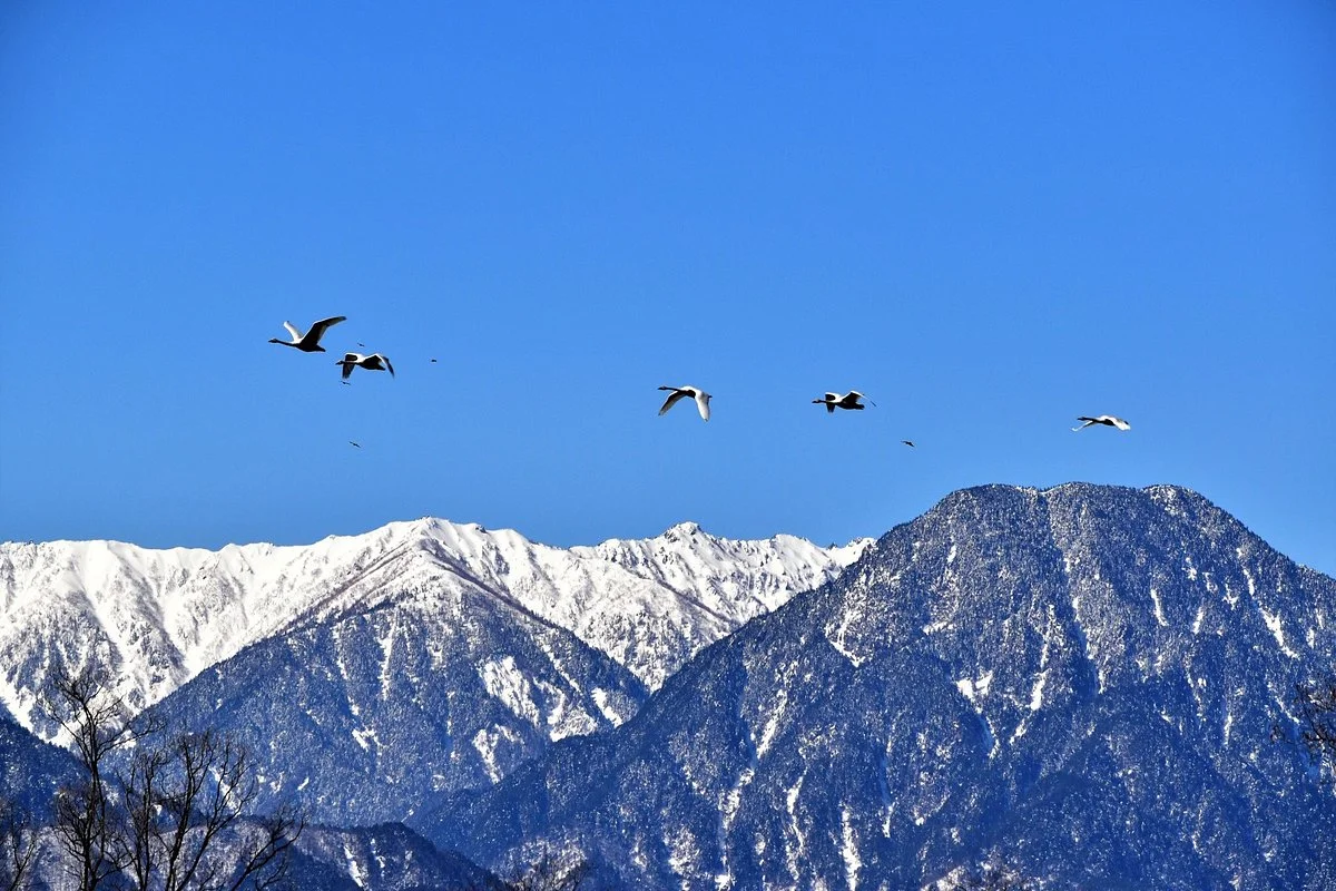 Saigawa Hakucho Lake