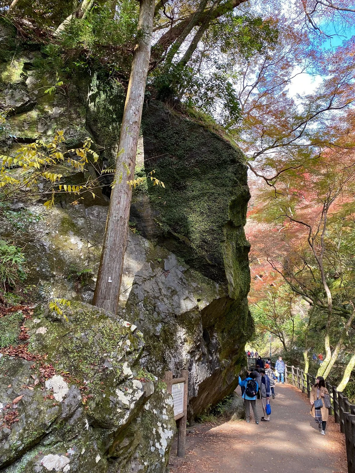 Tojin Modoriiwa