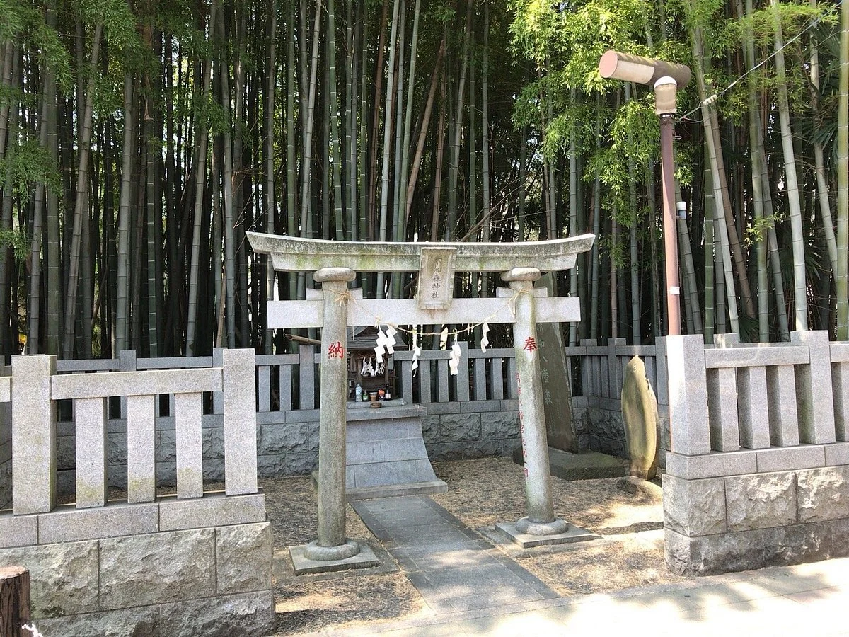 Shirazu Yawata no Mori