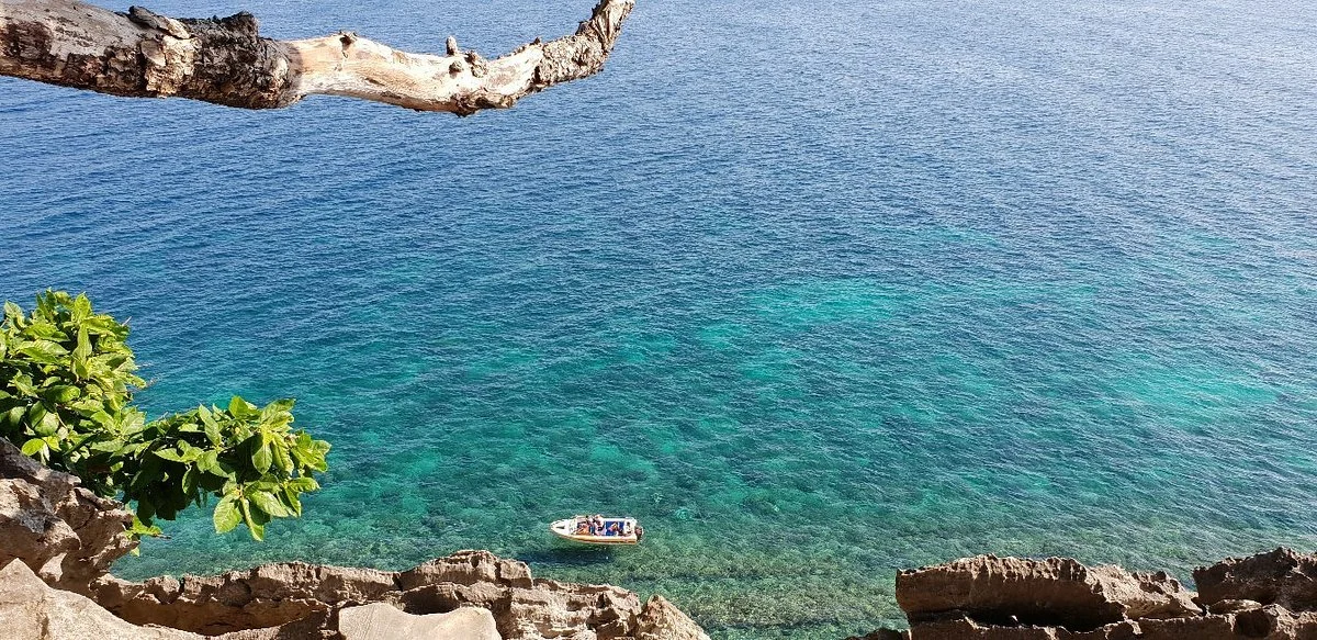 Bird Island