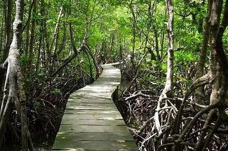 Peam Krasop Wildlife Sanctuary