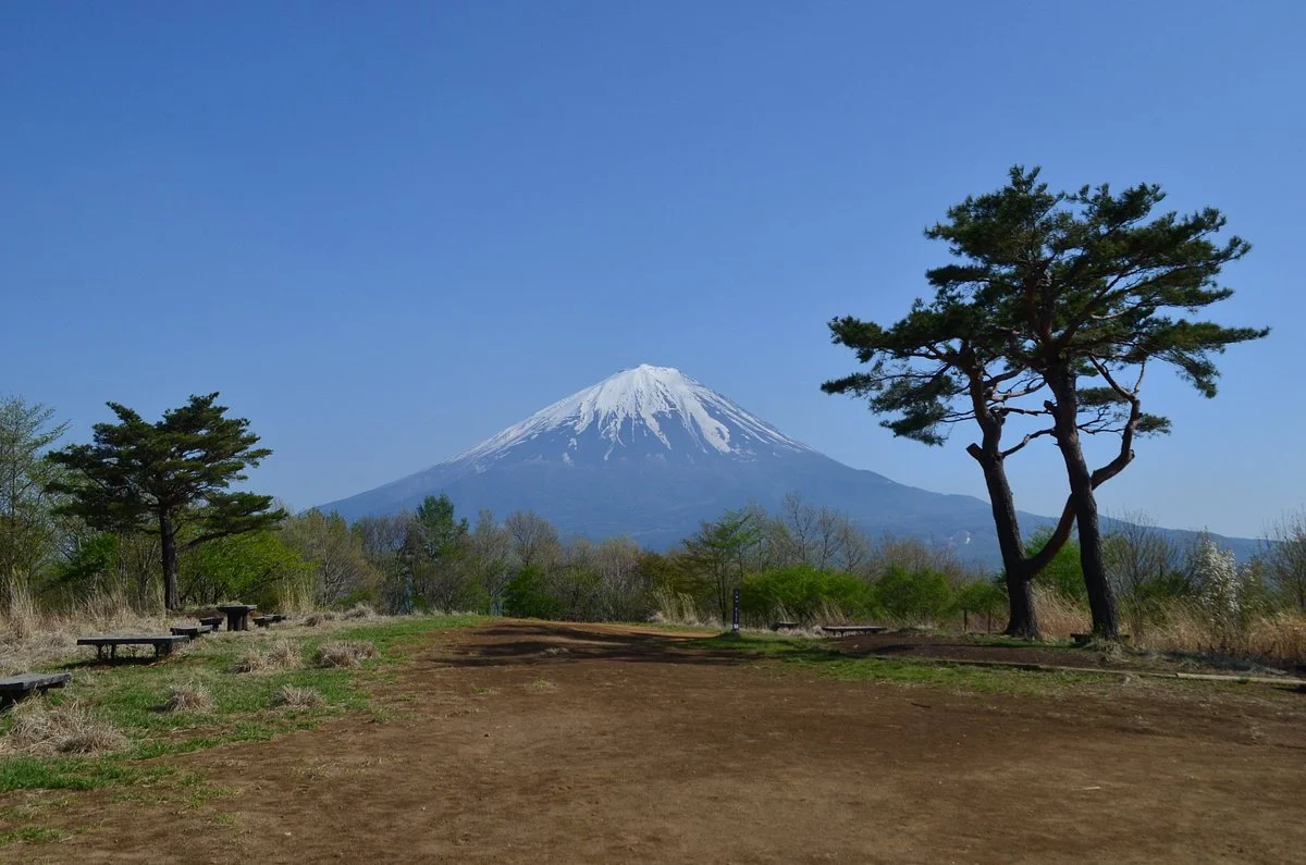Sankodai