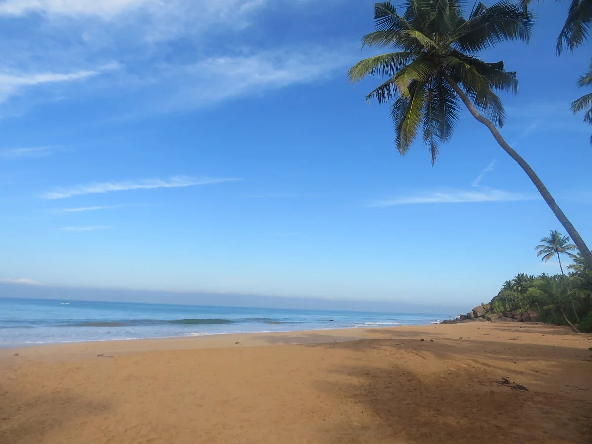 KOSGODA Turtle Conservation and Research Centre