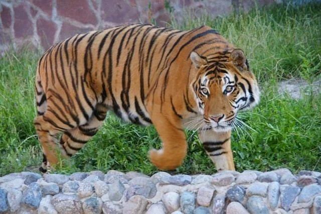 Almaty Zoo