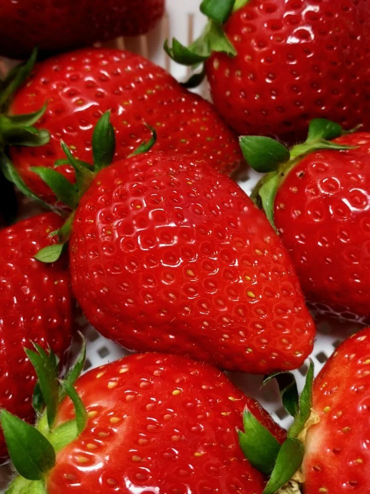 Iida Strawberry Farm