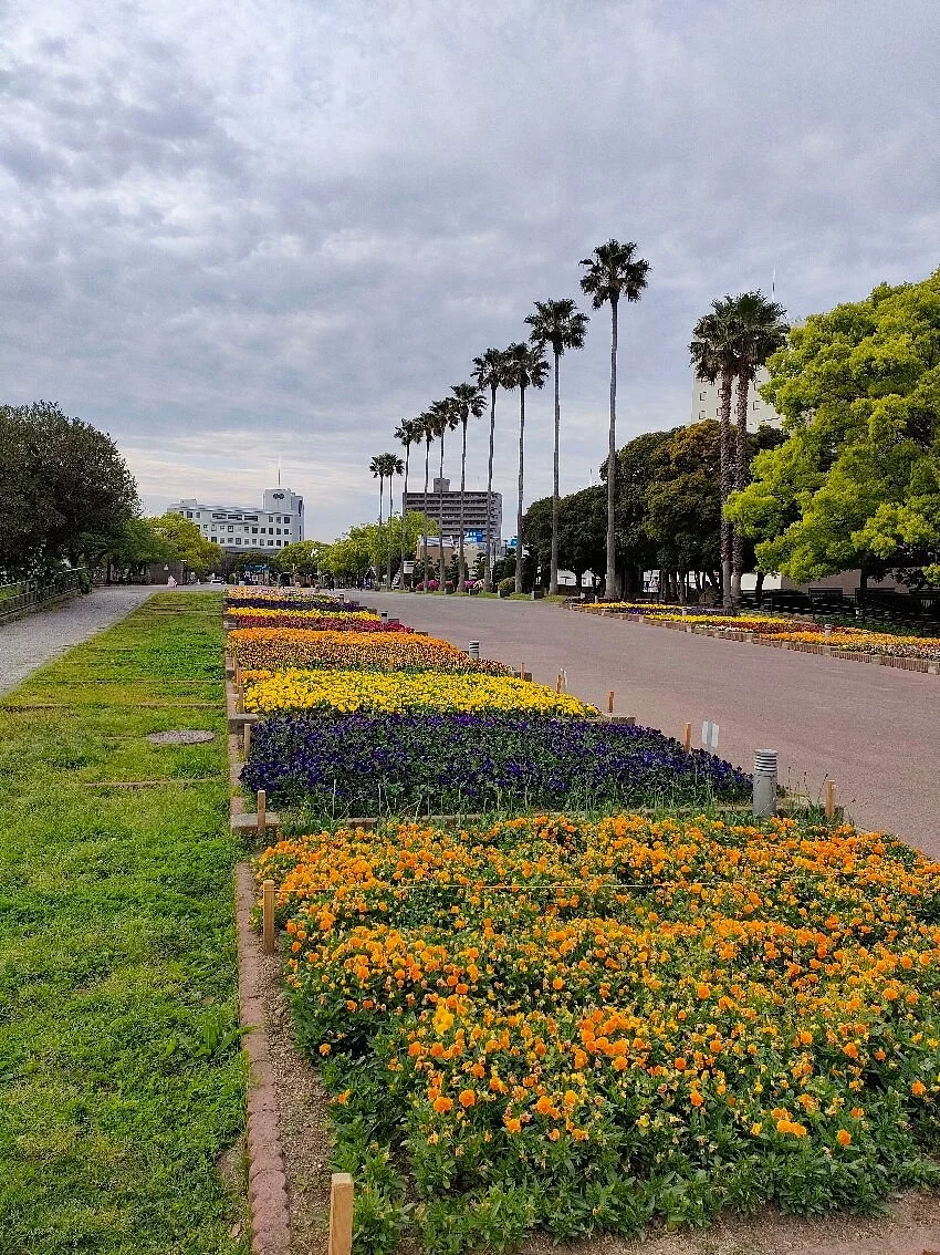 Aibahama Park