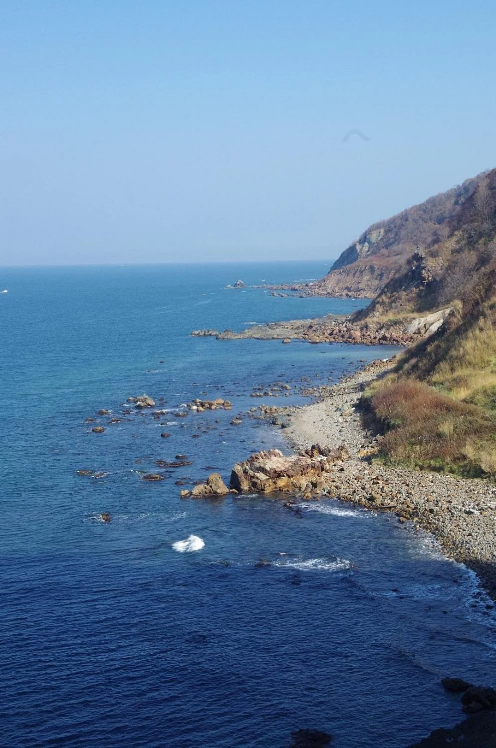 Otamoi Beach