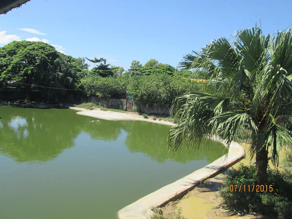 Tuaran Crocodile Farm