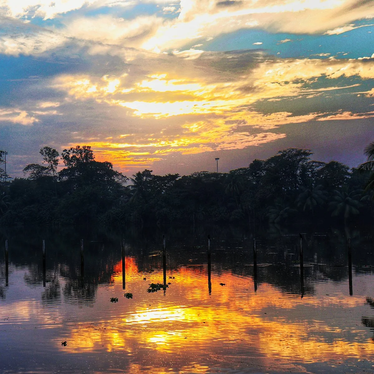 Nature Park