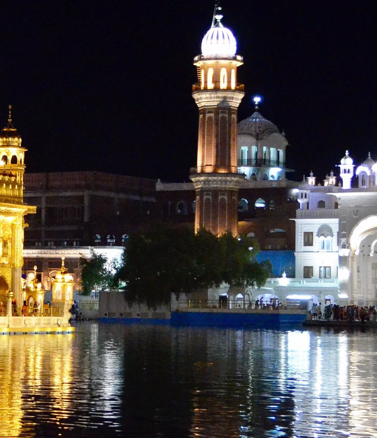 Dukh Bhanjani Ber Tree