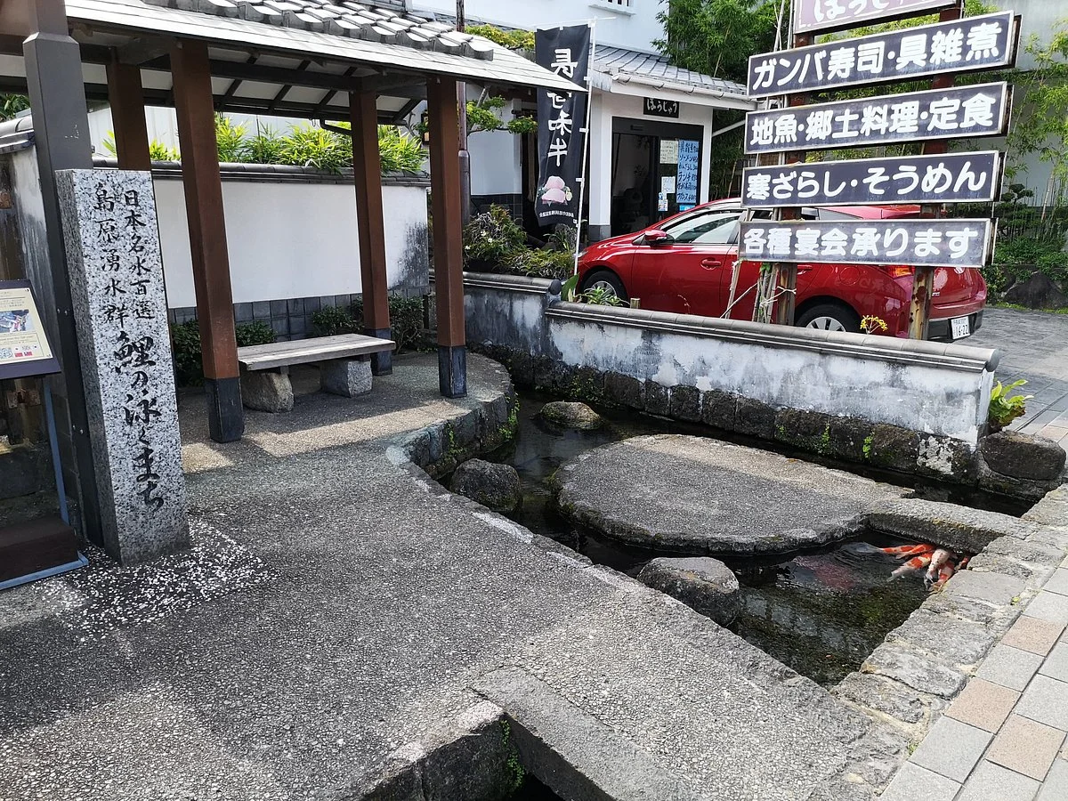 The Town of Swimming Carp