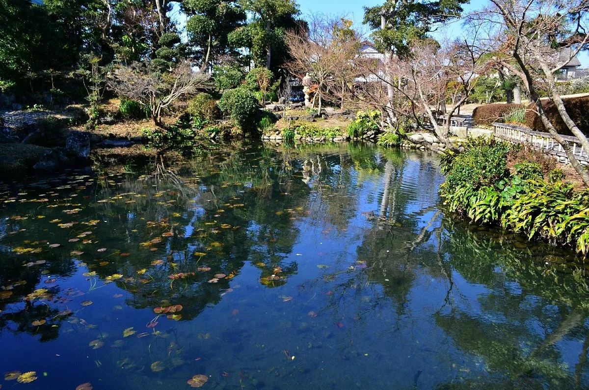 Shimizu House Garden