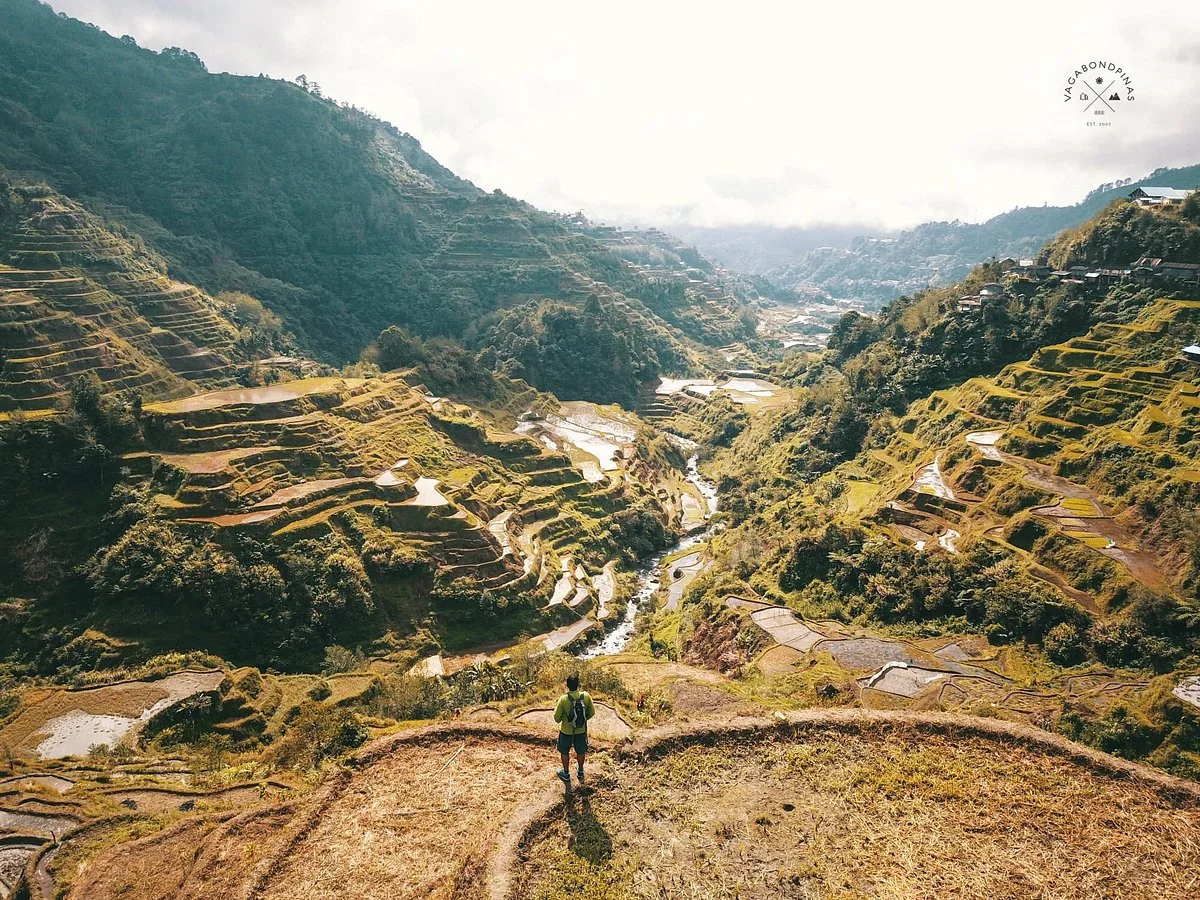 Banaue Rice Terraces
