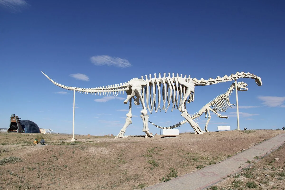 Dinosaur Museum of Erenhot.