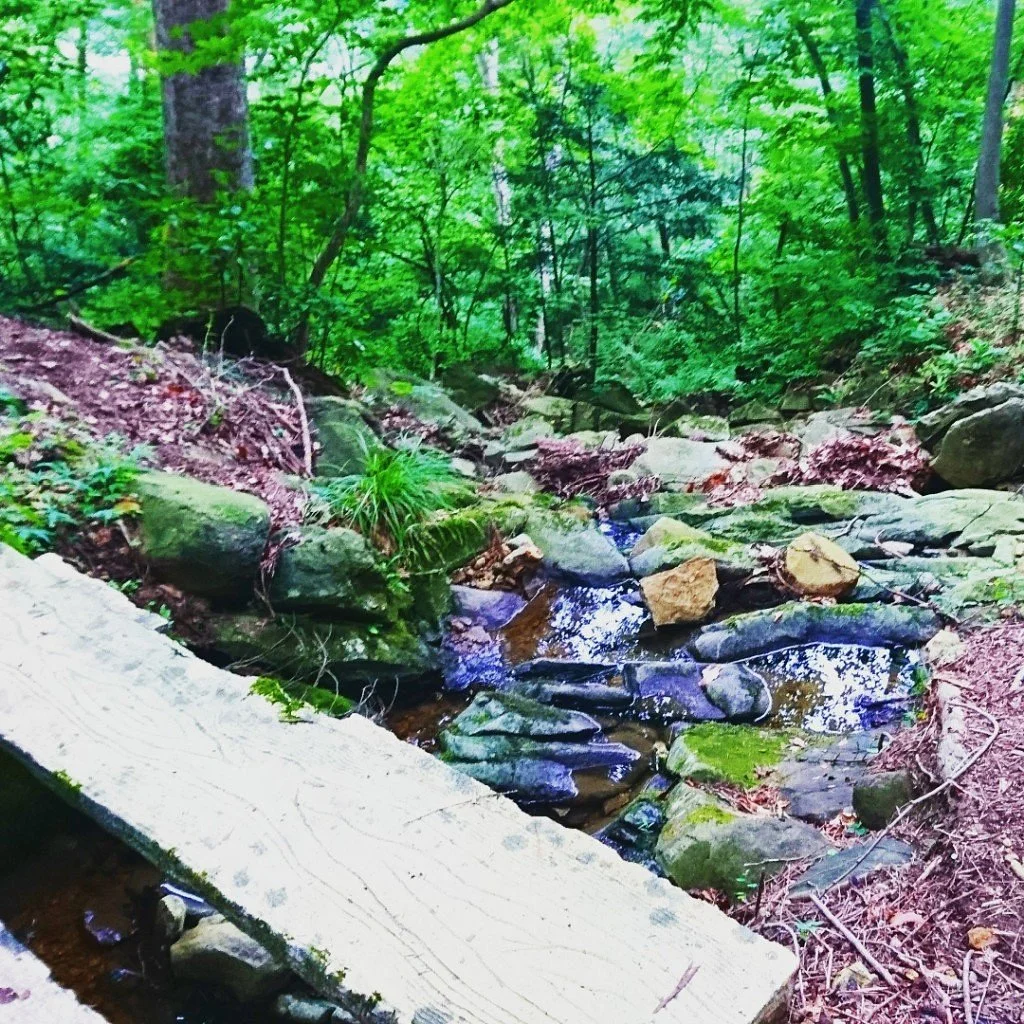 Aoba Forest Greenery