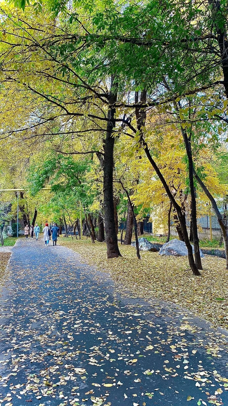Almatinskiy Terrenkur
