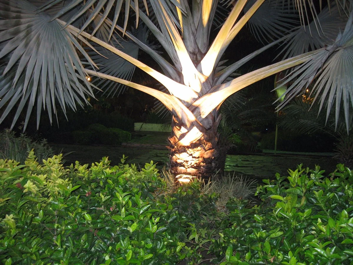Apsari Park