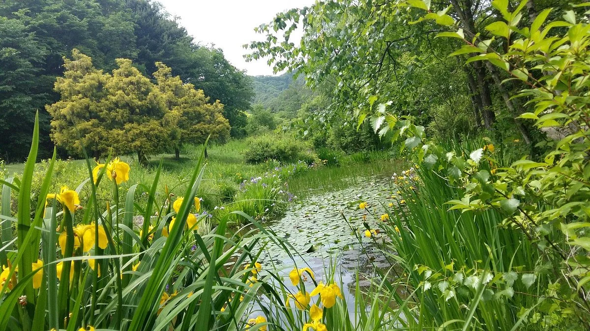 Pyunggang Botanical Garden
