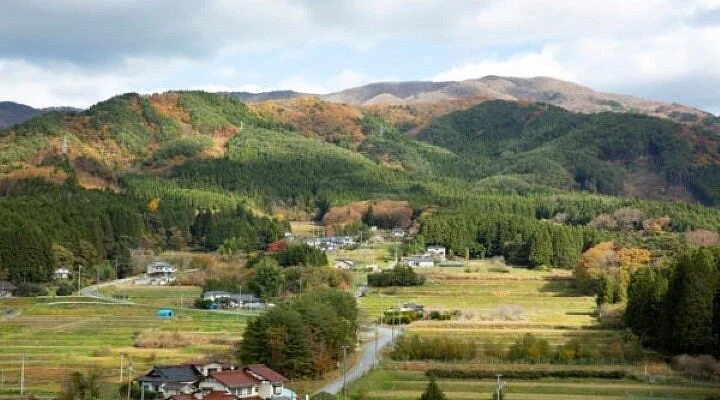 Hanaizumi Flower World