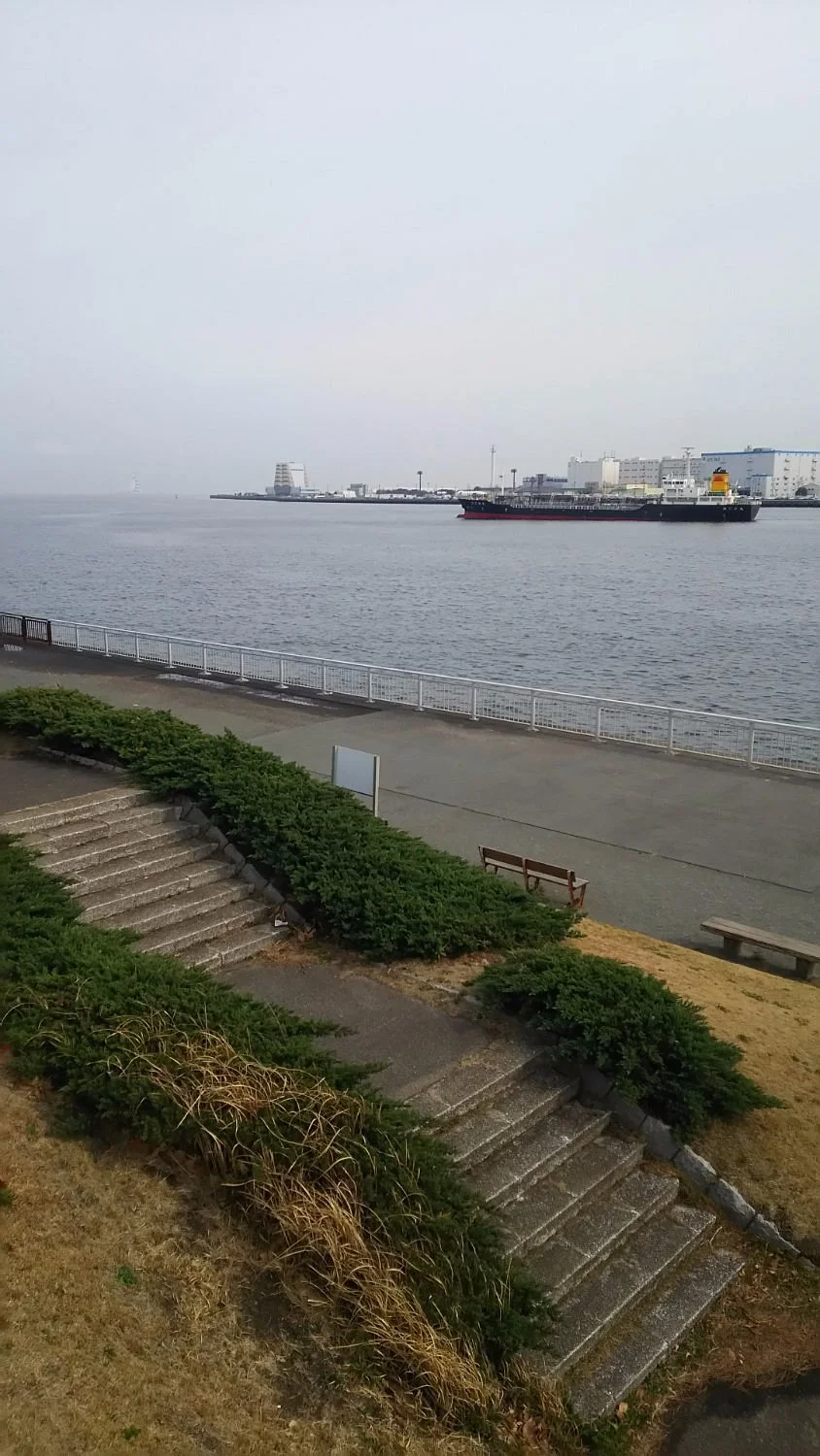 Chidori Park