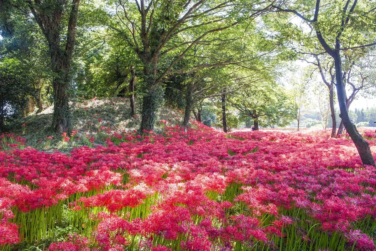 Nanatsumori Burial Mounds