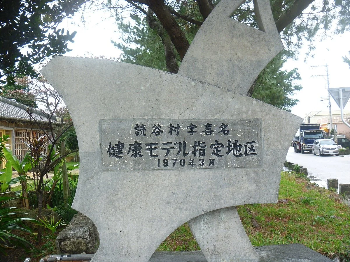 Health Model Designated Area Monument