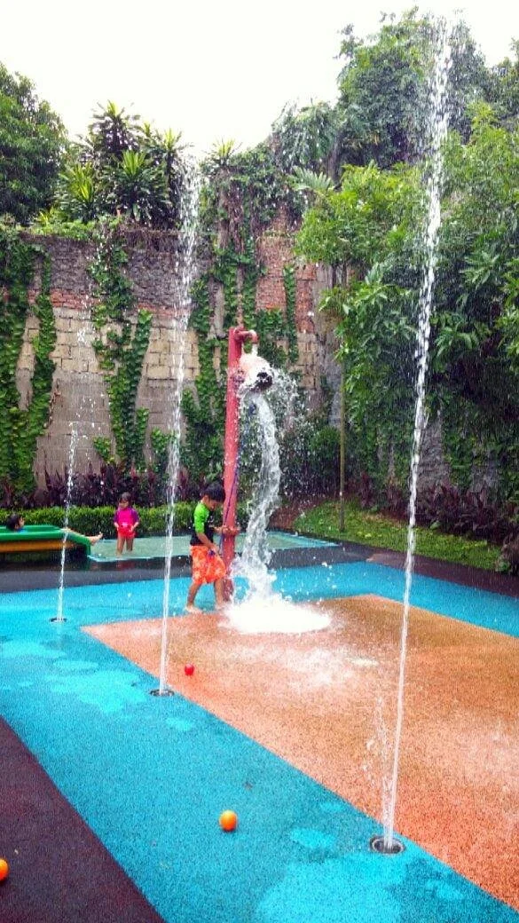 The Playground