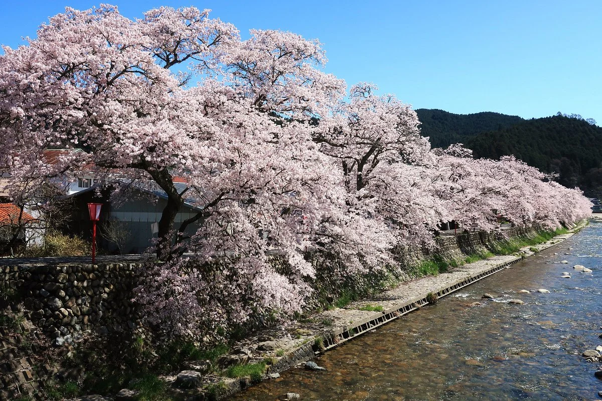 Mikamo Shukuba