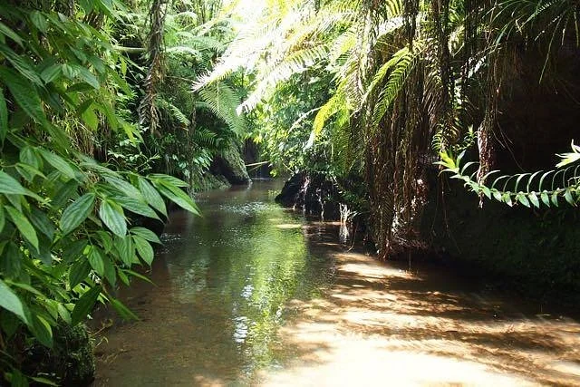 Tetebatu Waterfall
