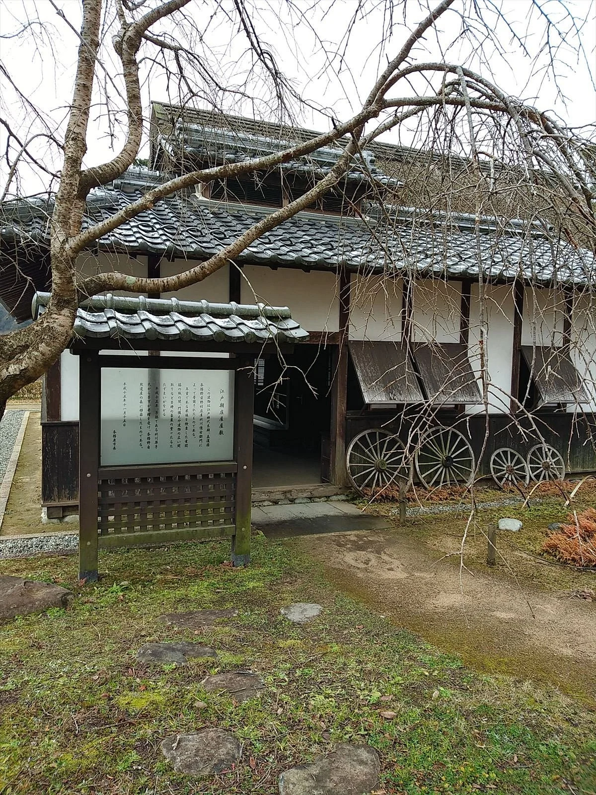 Kakamino Natural Heritage Forest