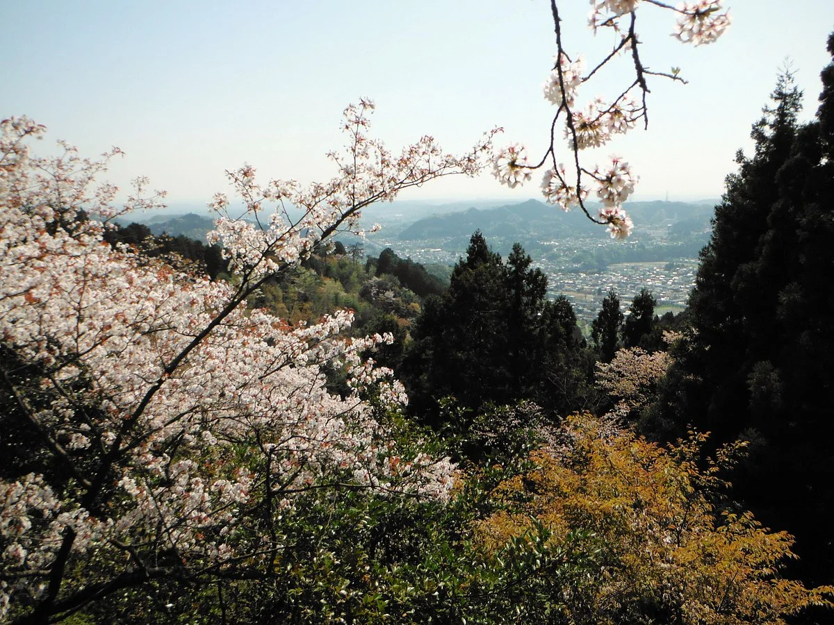 Mt. Kompira