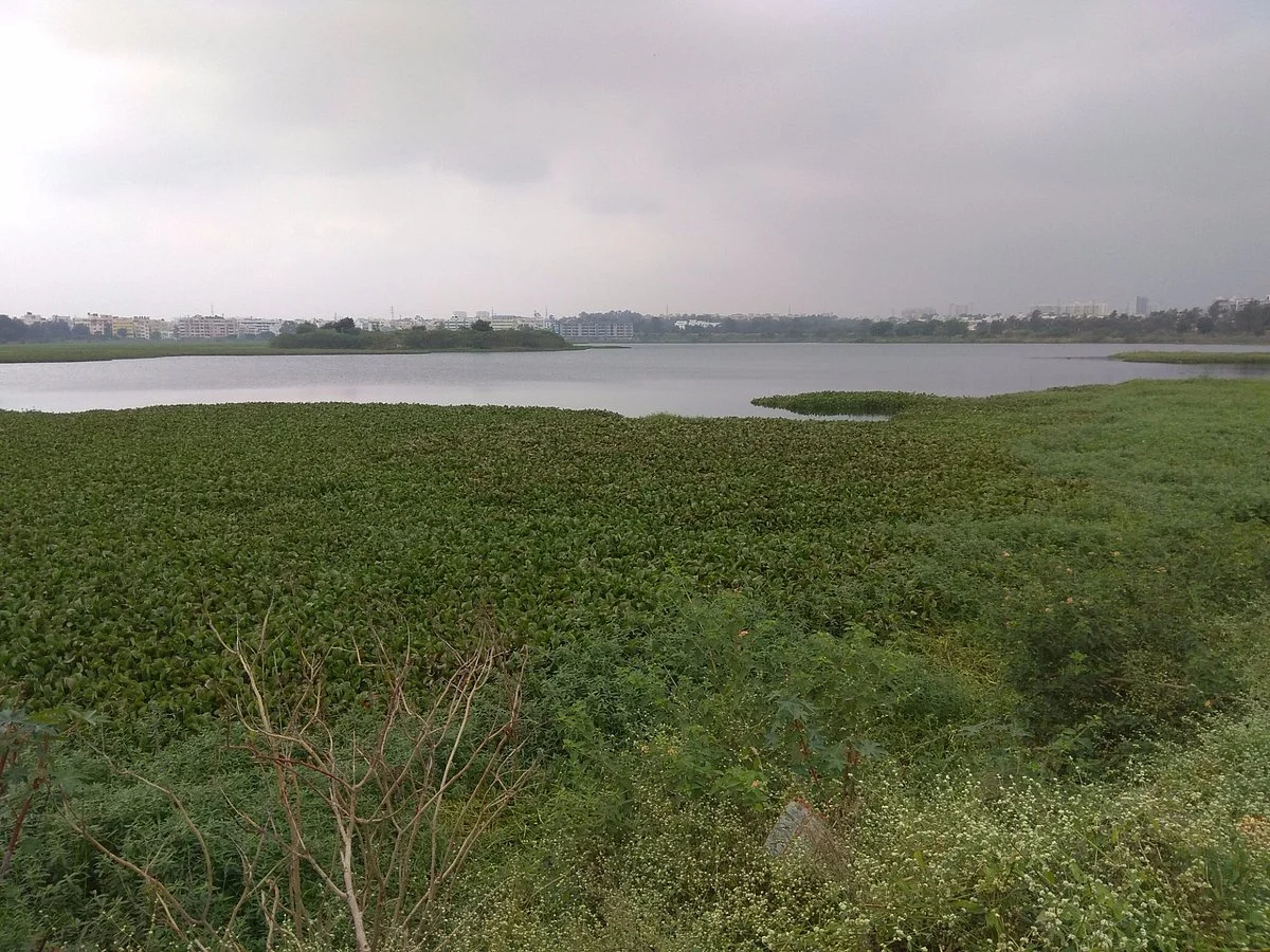 Doddanekundi Lake