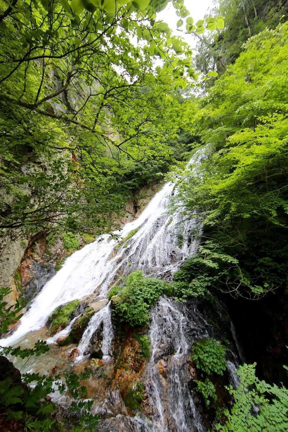 Ogura no Taki Fall