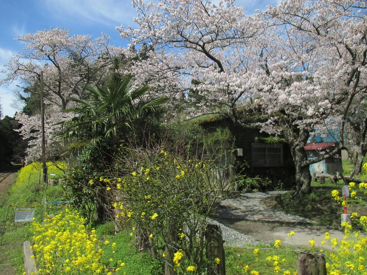 Mori Radio Station