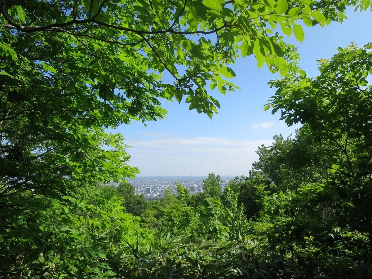 Miyanooka Park
