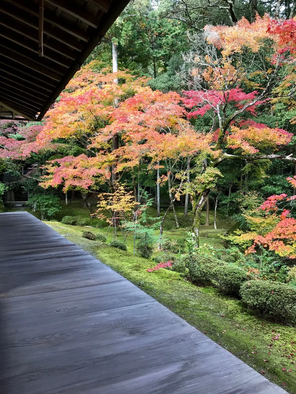 Saiho-ji Temple