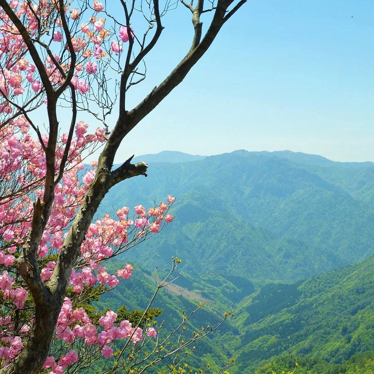 Mt. Katamuki