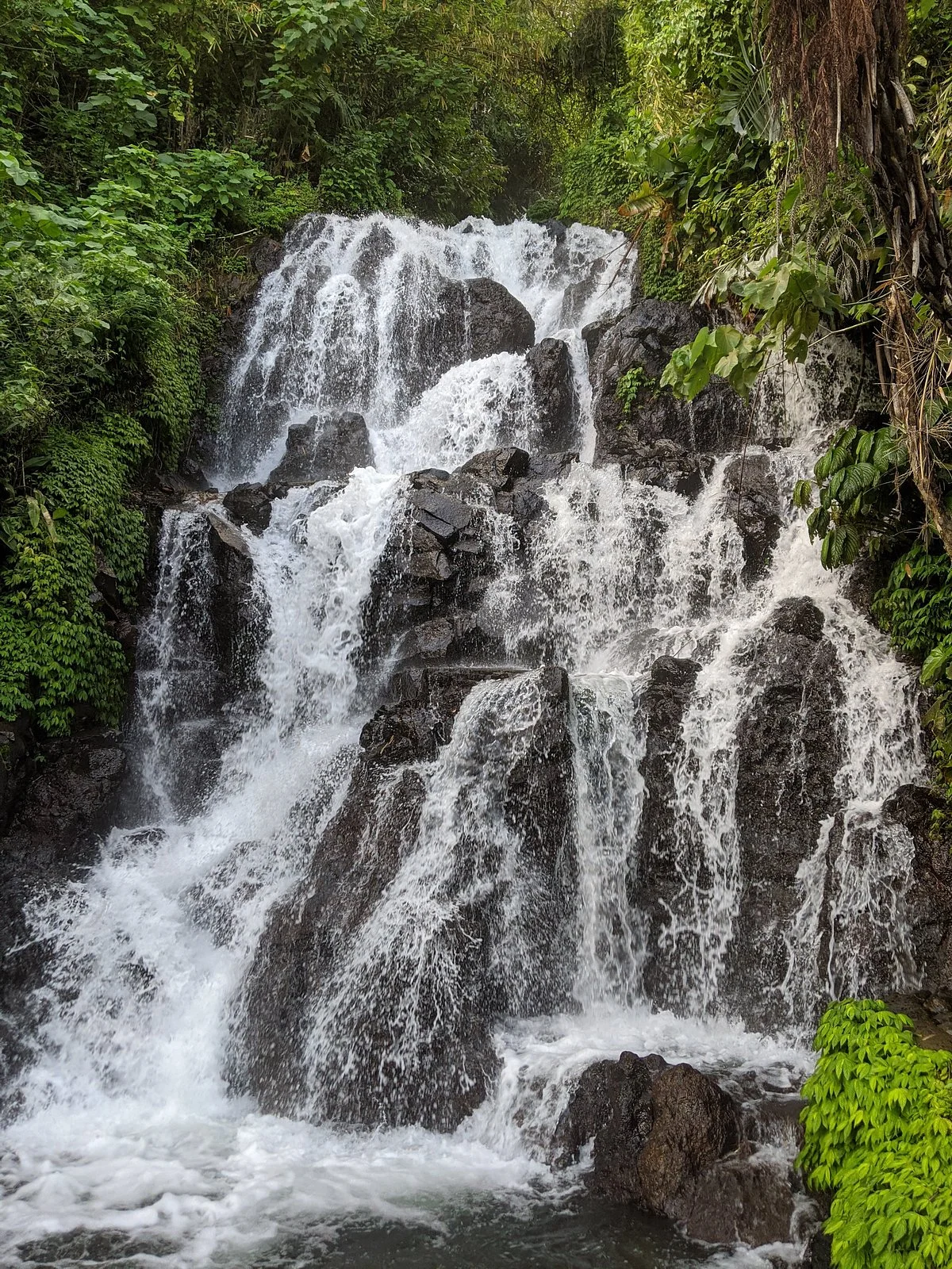 Jembong Waterfall