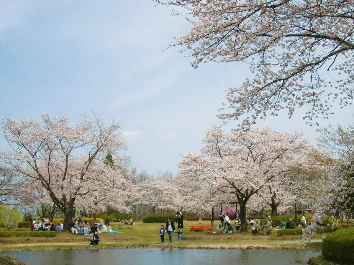 Azuma Sports Park