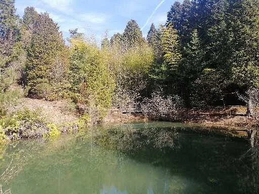 Kasahara Forest of Shiomi