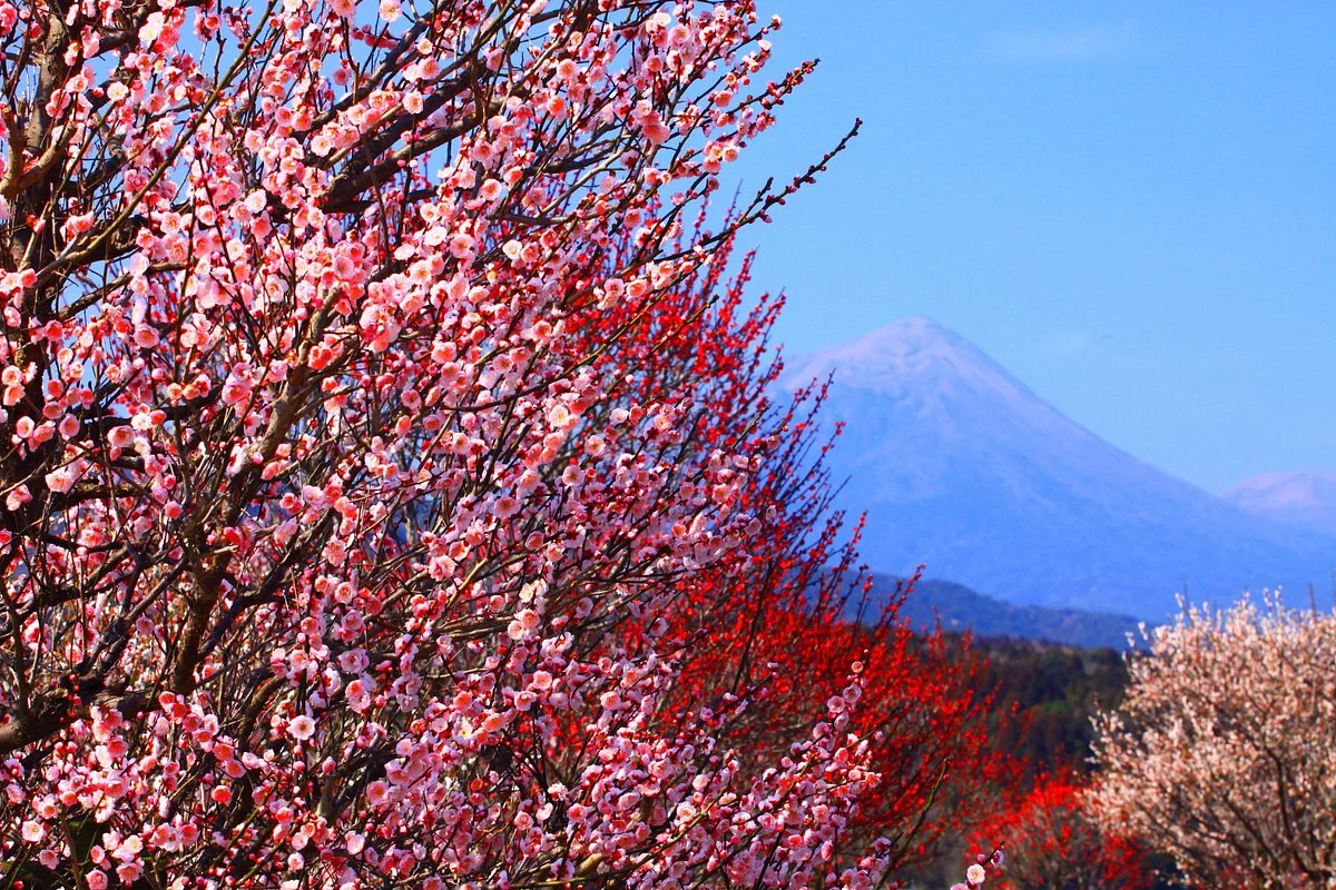 Takasaki Town General Park