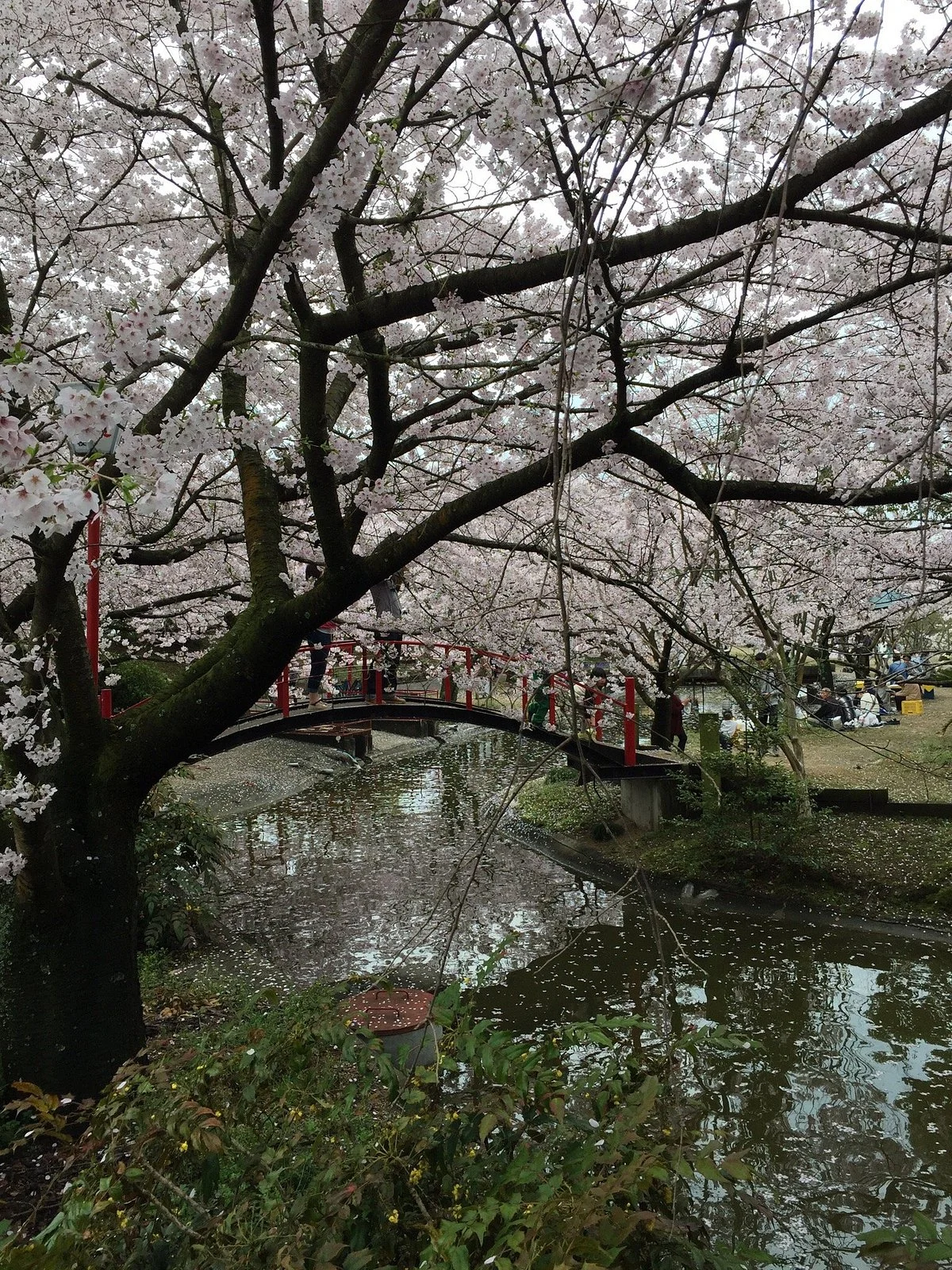 Asahiyama Shinrin Park